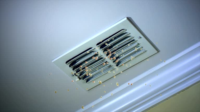 Best Emergency Air Duct Cleaning  in Takoma Park, MD